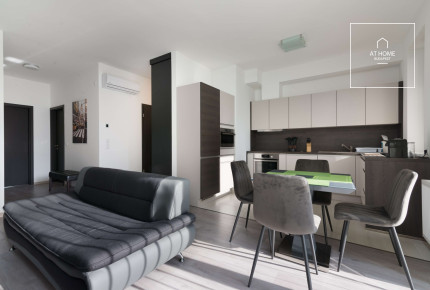 Two-bedroom premium apartment available for rent in Budapest, 11th district, Budapart.
