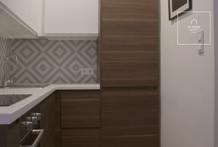 One-bedroom apartment Budapest V. district, Downtown