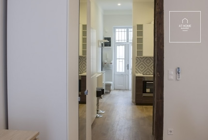 One-bedroom apartment Budapest V. district, Downtown