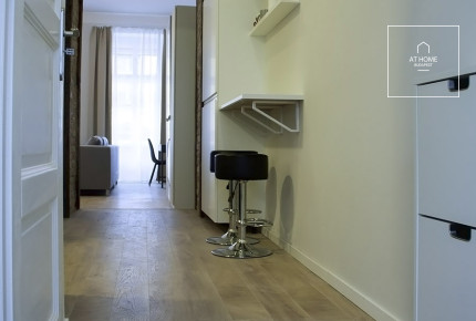 One-bedroom apartment Budapest V. district, Downtown