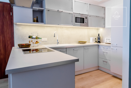 Panoramic apartment with huge terrace in Budapest, 13th district, Marina shore