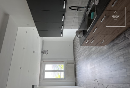 Panoramic apartment or office in the  1st district Budai Castle