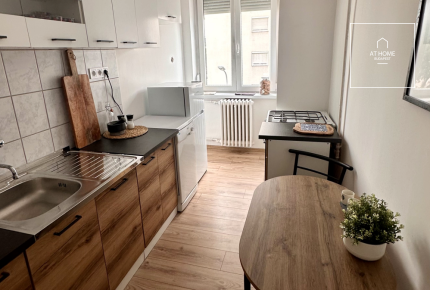 Renovated 80 sqm panoramic-view apartment in District II, Víziváros