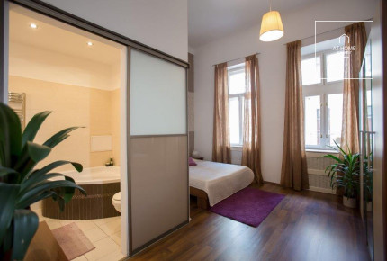 Refurbished apartment  Budapest V. district, Lipótváros