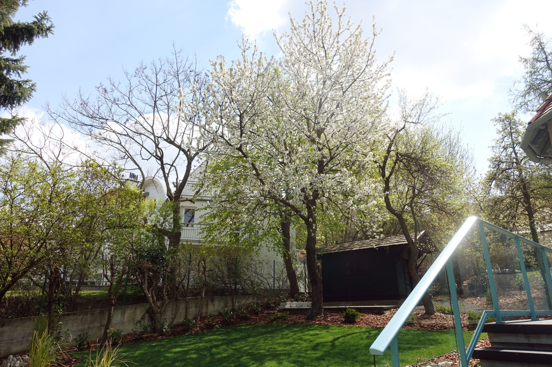 Gyönyörűen felújított villa lakás, Budapest, 12. kerület,  Svábhegy