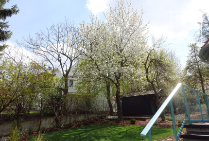 Gyönyörűen felújított villa lakás, Budapest, 12. kerület,  Svábhegy