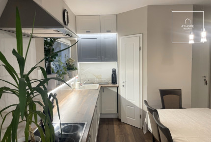 Panoramic 2-Bedroom Apartment in a Green Area – District II, Vérhalom