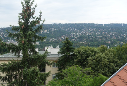 Stunning apartment for rent Budapest II. district, Pasarét