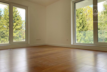 Newly built luxury detached house for rent in district II/A