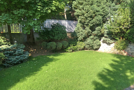 Sunny detached house for rent Budapest II. district, Pálvölgy