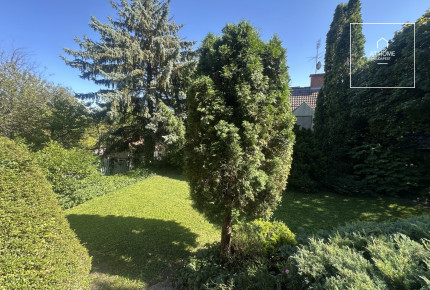 Sunny detached house for rent Budapest II. district, Pálvölgy