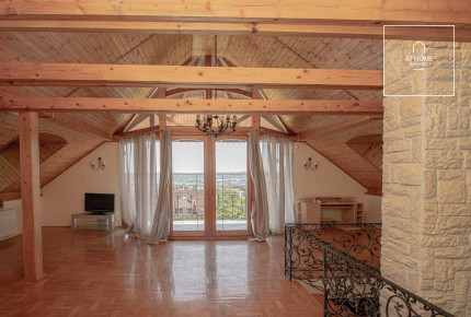 Detached house for rent in Budaörs with panoramic view