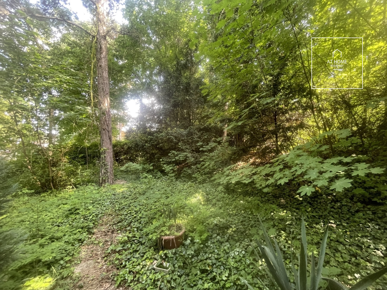 1065 sqm building plot for sale in District XII, Virányos