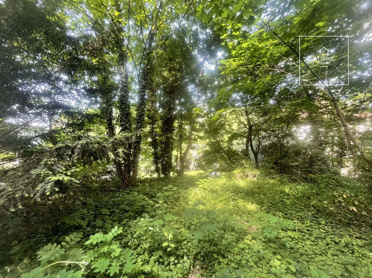 1065 sqm building plot for sale in District XII, Virányos