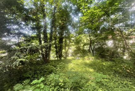 1065 sqm building plot for sale in District XII, Virányos