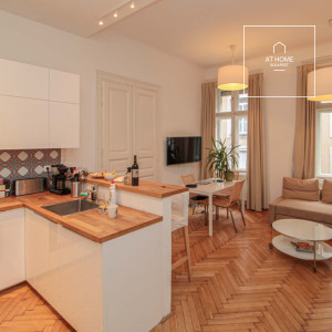 Wonderful apartment for rent Budapest VI. district, Terézváros