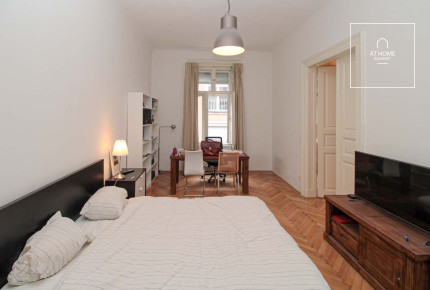Wonderful apartment for rent Budapest VI. district, Terézváros