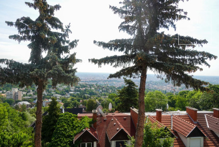 Refurbished terraced house for rent Budapest XII. district Istenhegy
