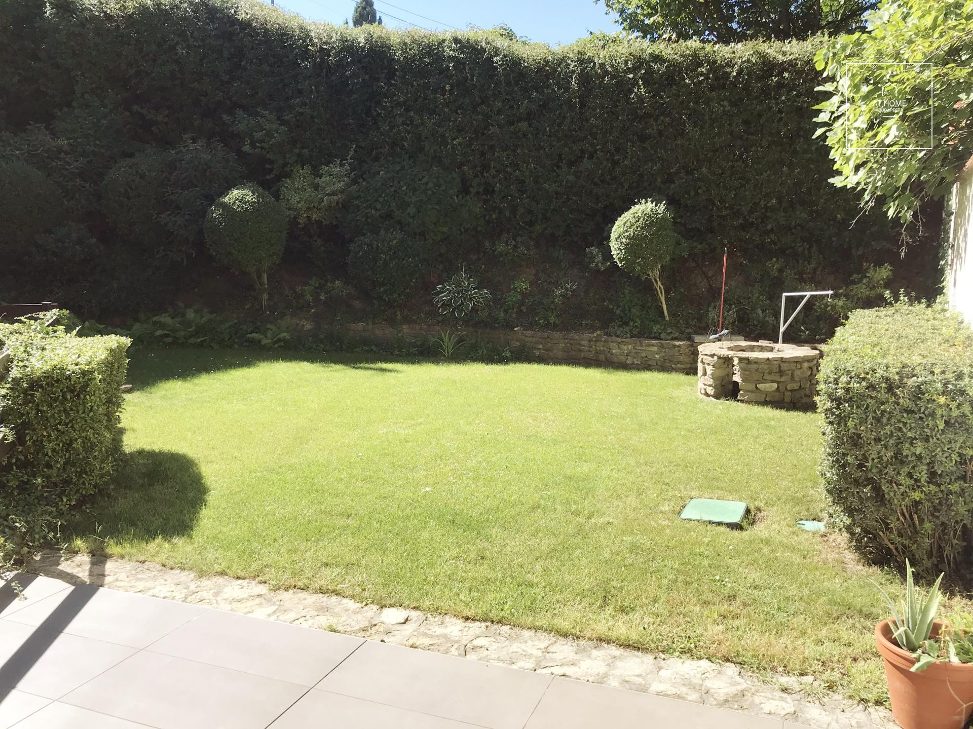 Charming detached house for rent Budapest II. district, Pálvölgy