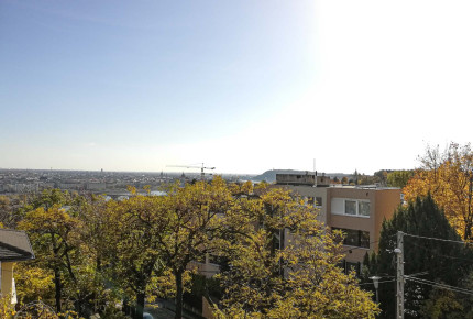 Stellar apartment Budapest II. district, Szemlőhegy