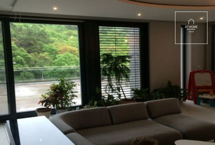 Sunny detached house for rent Budapest II. district, Pálvölgy
