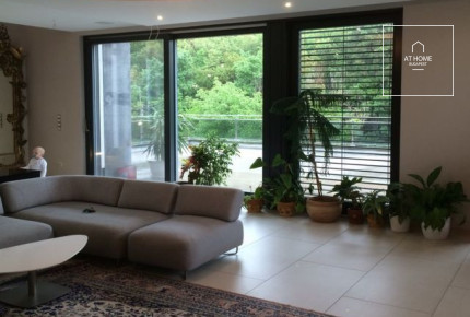 Sunny detached house for rent Budapest II. district, Pálvölgy