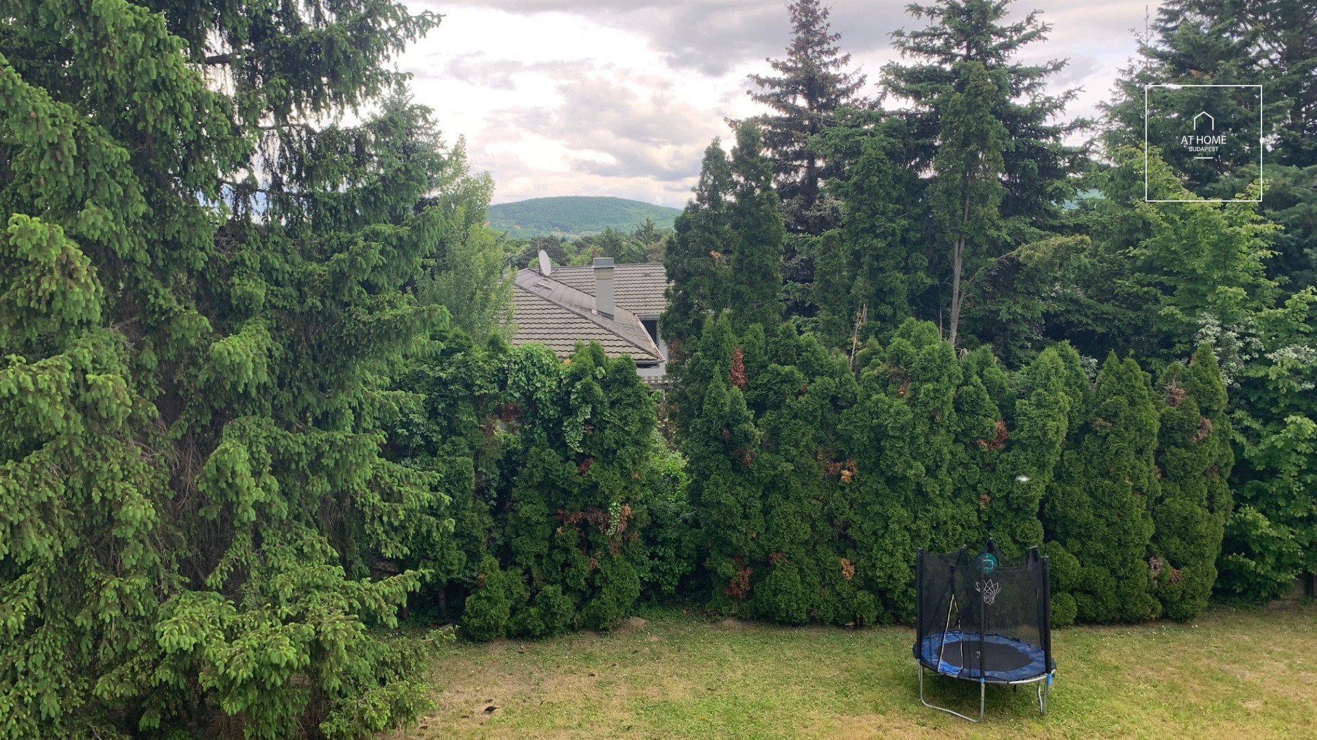 Wonderful detached house for rent  II/A. district, Budaliget