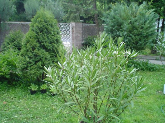 Bűbájos lakás kiadó Budapest XII. kerület, Kútvölgy