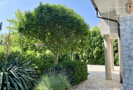 Detached house for rent in Budapest XI. distrct
