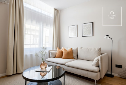 Renovated 31 sqm studio apartment in District V, City Centre