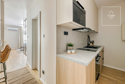 Renovated 31 sqm studio apartment in District V, City Centre