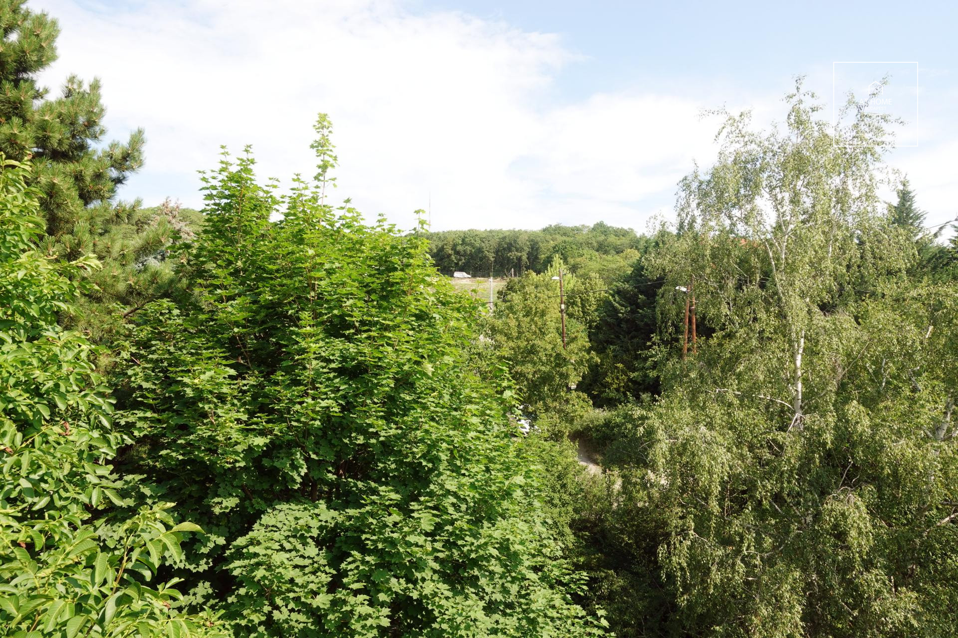 Ikerház kiadó Budapest XII. kerület, Farkasvölgyön