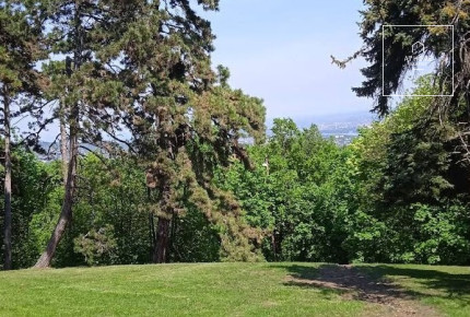 Panoramic 2,984 sqm plot for sale in District XII, Széchenyihegy