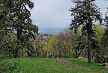 Panoramic 2,984 sqm plot for sale in District XII, Széchenyihegy