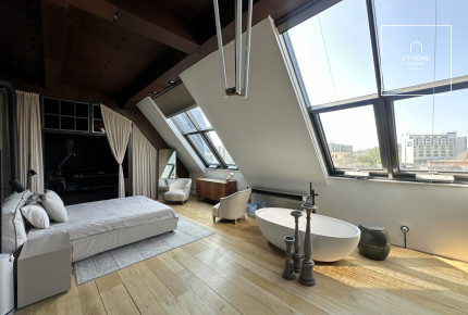 Luxury 200 sqm loft apartment in District 13, Vizafogó