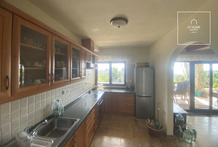 350 sqm family home with city panorama and a well-kept garden in District XII, Mártonhegy