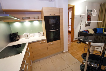 Nice apartment for rent Budapest VI. district, Terézváros