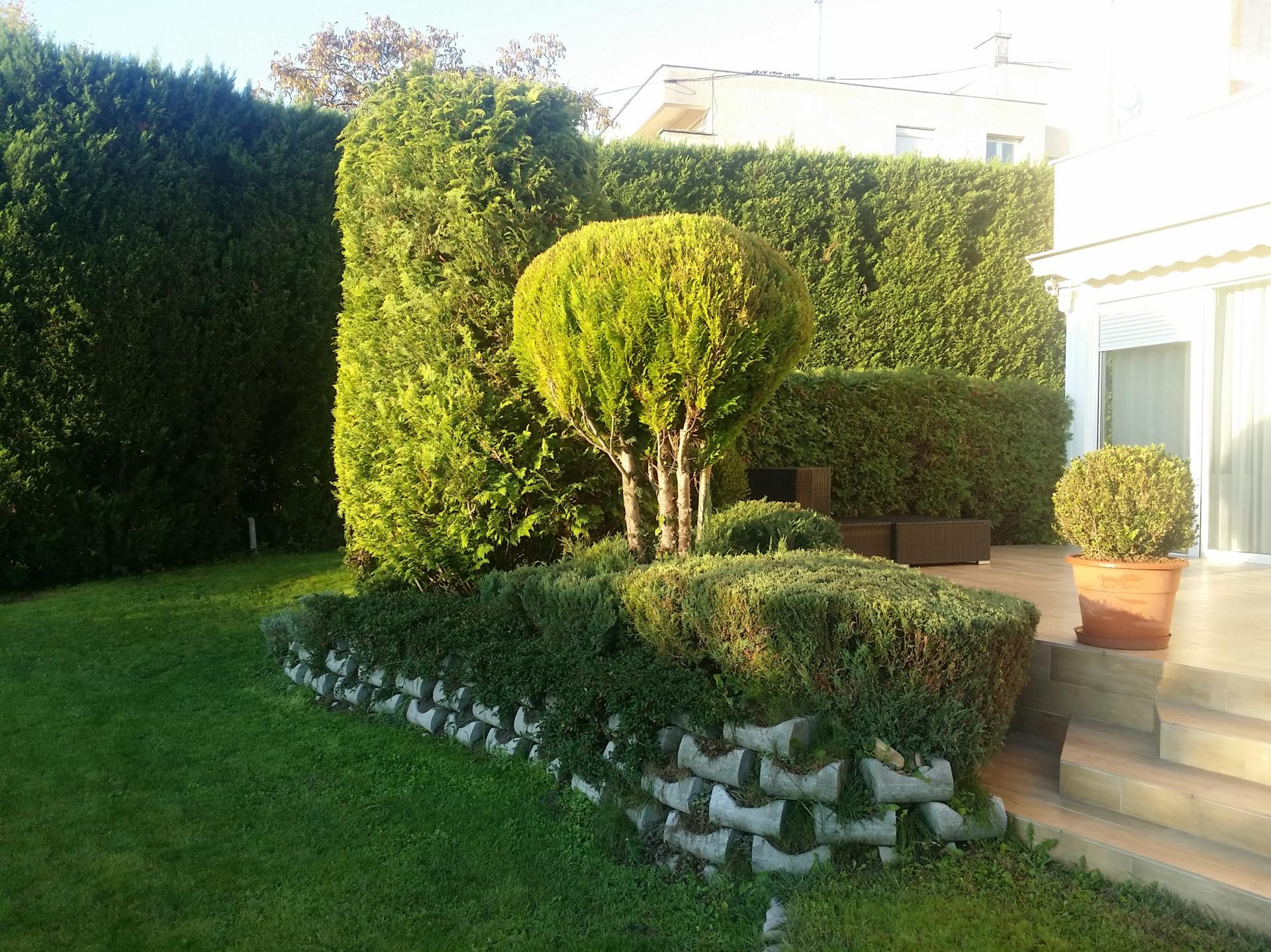 Exclusive apartment for rent in Budapest XII. district