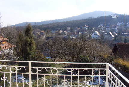 Lélegzetelállító villa kiadó  II/A. kerület, Remetekertváros