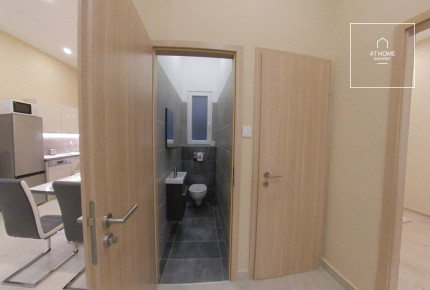 3 bedroom furnished apartment for rent in Budapest 6th district