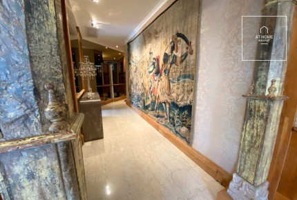 Premium apartment for rent in Budapest, District VI, Terézváros