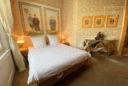 Premium apartment for rent in Budapest, District VI, Terézváros