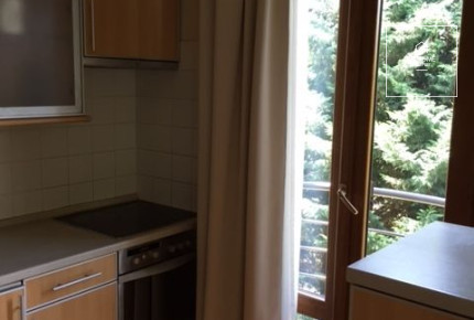 Beautiful apartment for rent Budapest II. district, Csatárka