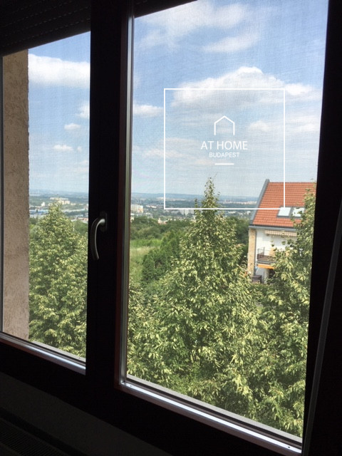Flat for rent in green-belt close to international school Budapest