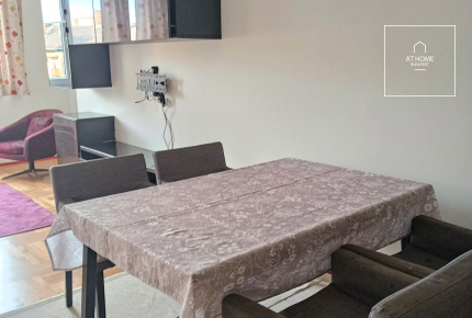Bright 2-Bedroom Apartment Near a Park in District IX