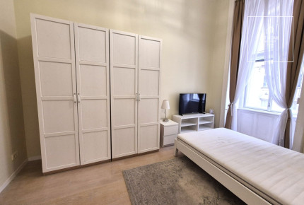 Renovated 133 sqm Pet-Friendly Apartment in the City Center