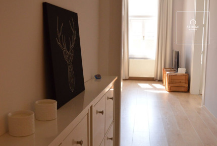 Beautiful apartment for rent a few steps from Oktogon, Budapest, VI. district