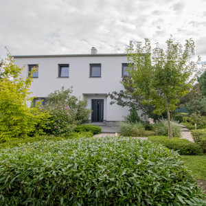 Lenyűgöző Önálló családi ház kiadó  II/A. kerület, Budaliget