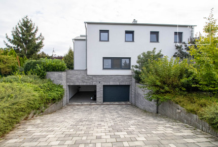 Stunning detached house for rent  II/A. district, Budaliget