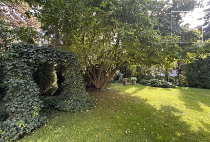 Beautiful villa for rent  Budapest II. district, Rózsadomb